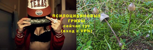 эйфоретик Нея