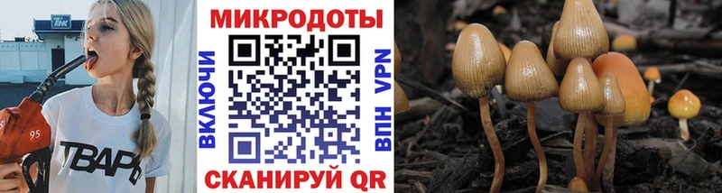Псилоцибиновые грибы GOLDEN TEACHER  KRAKEN   Багратионовск  закладка 