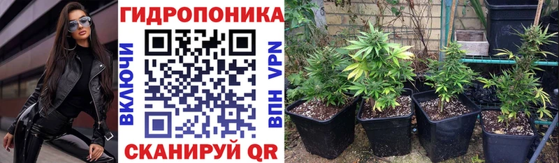 Конопля марихуана  Багратионовск 